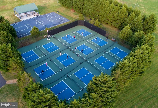 bird's eye view
