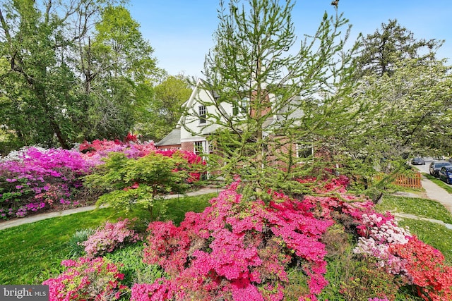 7812 Takoma Ave, Takoma Park, MD 20912 - view of yard