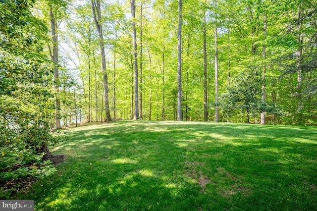 view of yard with a view of trees