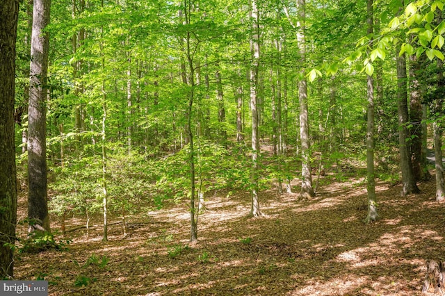 view of landscape with a forest view