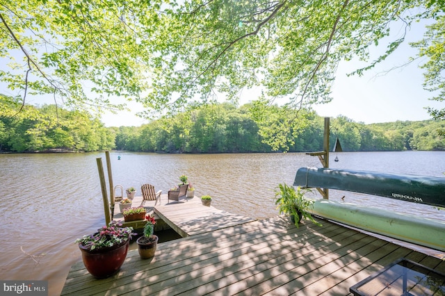 dock area featuring a water view and a forest view
