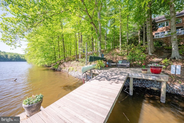 dock area with a water view