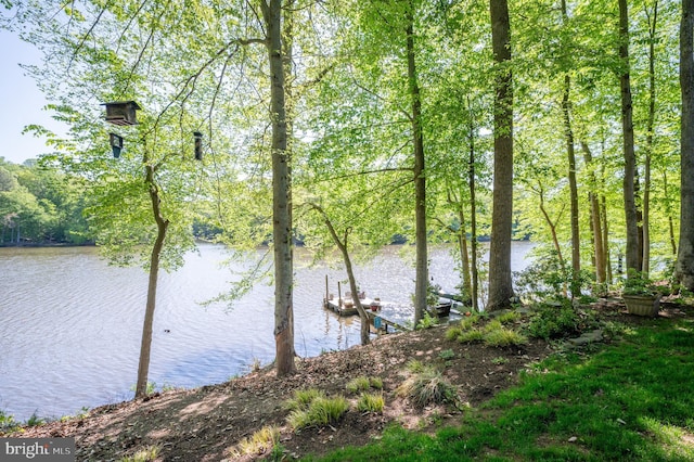water view with a boat dock