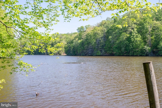 property view of water featuring a view of trees