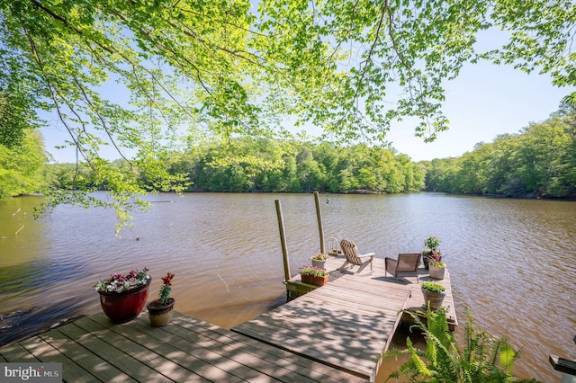 view of dock featuring a water view and a view of trees