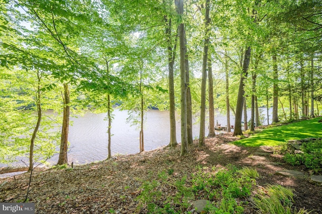 water view