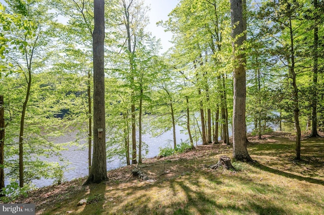 property view of water