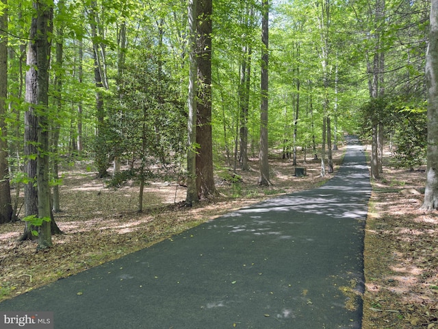 view of street featuring a view of trees