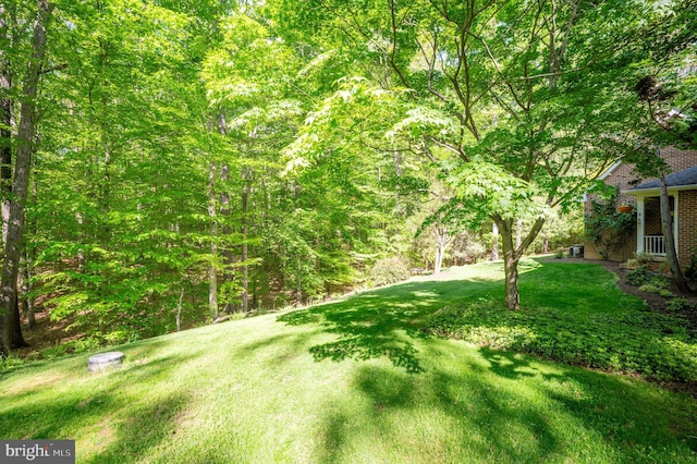 view of yard featuring a view of trees