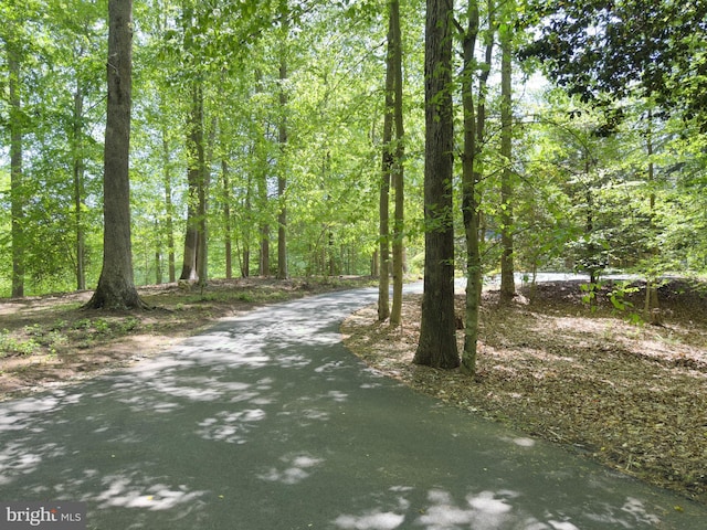 view of street with a wooded view