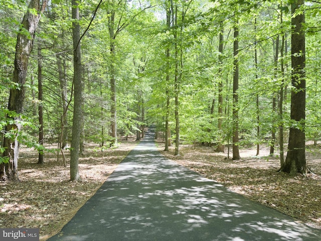 view of street with a view of trees