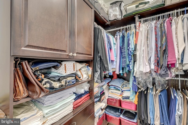 10 Cavendish Ct, Rehoboth Beach, DE 19971 - view of walk in closet