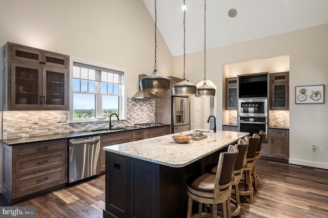 kitchen featuring a sink, dark wood finished floors, appliances with stainless steel finishes, and high vaulted ceiling