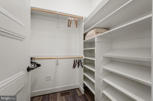 spacious closet with visible vents and dark wood finished floors