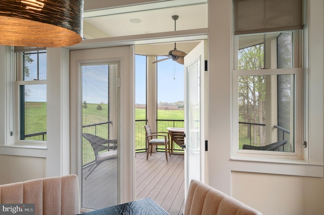 entryway featuring ceiling fan and wood finished floors