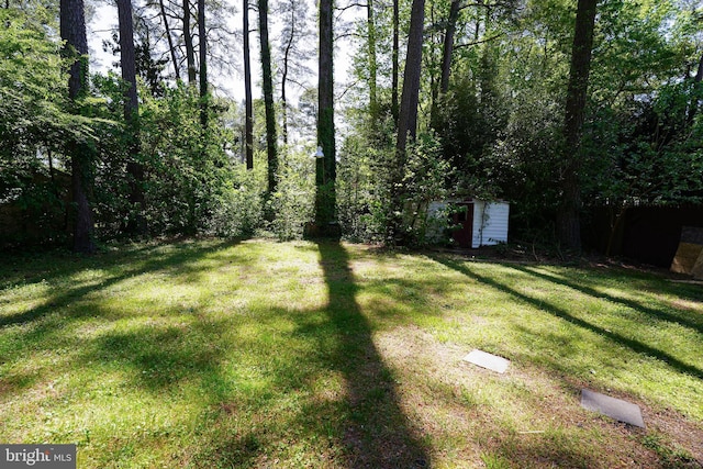 404 Sheldon Ave, Fruitland, MD 21826 - view of yard featuring a storage shed and an outbuilding