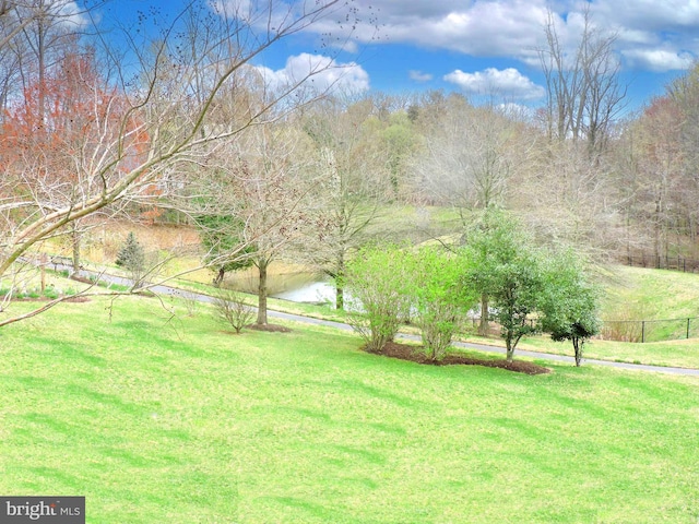 1221 Whetstone Dr, Arnold, MD 21012 - view of yard