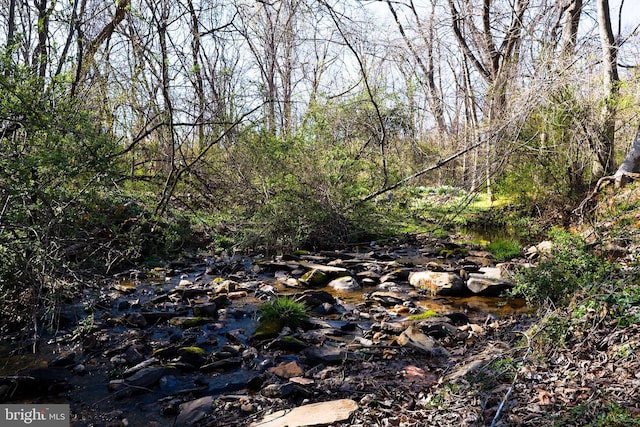 view of local wilderness featuring a view of trees