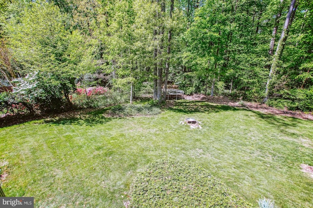 view of yard with a wooded view