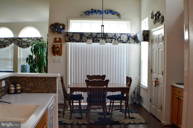 dining area featuring a healthy amount of sunlight and dark wood finished floors
