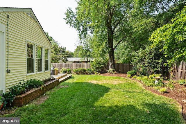 8620 Conover Pl, Alexandria, VA 22308 - view of yard