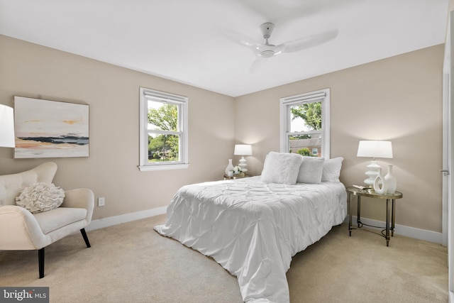 8620 Conover Pl, Alexandria, VA 22308 - bedroom with multiple windows, baseboards, and light carpet