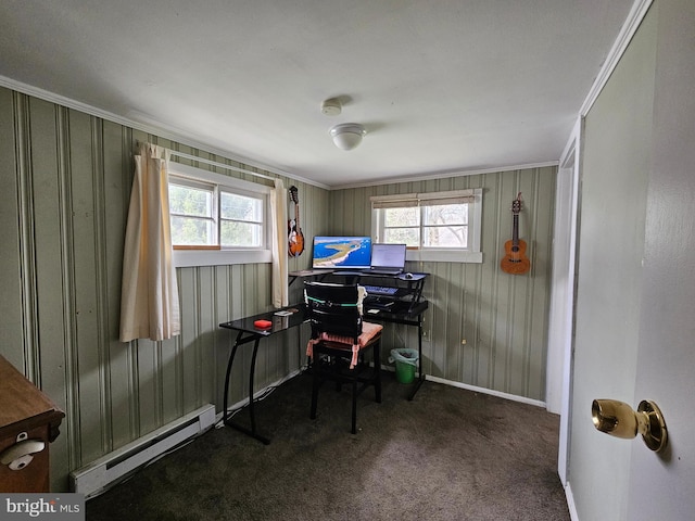interior space with ornamental molding, baseboards, multiple windows, and baseboard heating