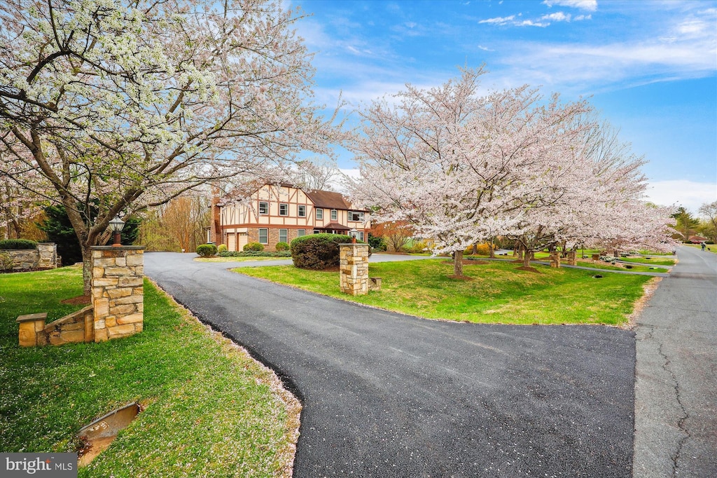 view of road with aphalt driveway