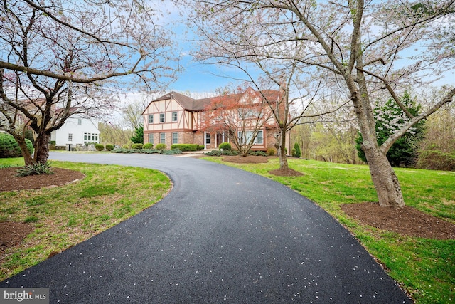 view of front facade with curved driveway, a front yard, and brick siding