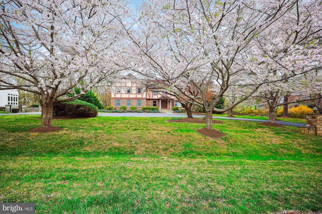view of front of property with a front lawn and brick siding