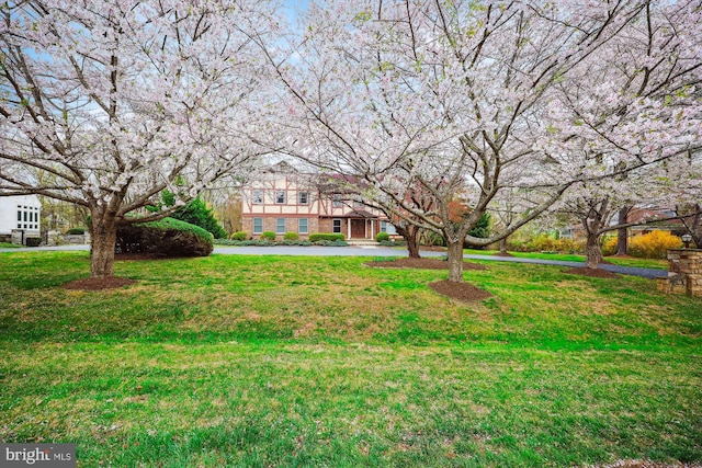 view of front of property with a front lawn and brick siding