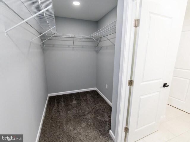 walk in closet with carpet