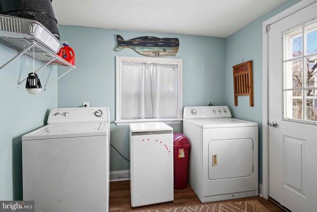 5984 2nd St, Deale, MD 20751 - laundry room with washer and dryer, laundry area, and dark wood-style flooring