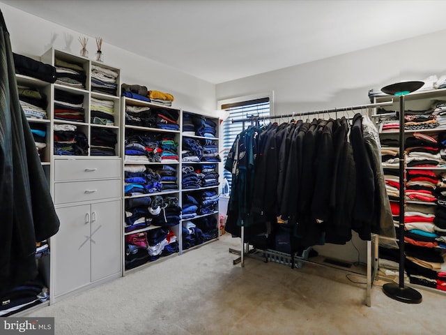 spacious closet with carpet