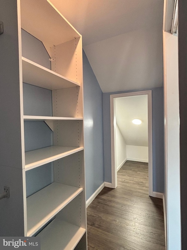 1315 Riverwood, Baltimore, MD 21226 - walk in closet featuring dark wood-style flooring and vaulted ceiling