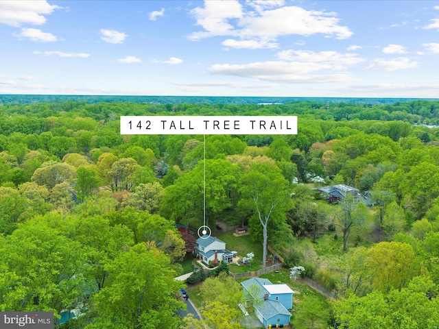 142 Tall Tree Trl, Arnold, MD 21012 - bird's eye view with a wooded view