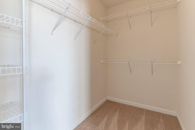 5542 Peanuts Ln, Waldorf, MD 20602 - spacious closet with light colored carpet