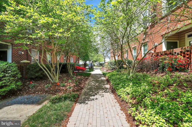 503 King Farm Blvd Unit 306, Rockville, MD 20850 - view of surrounding community