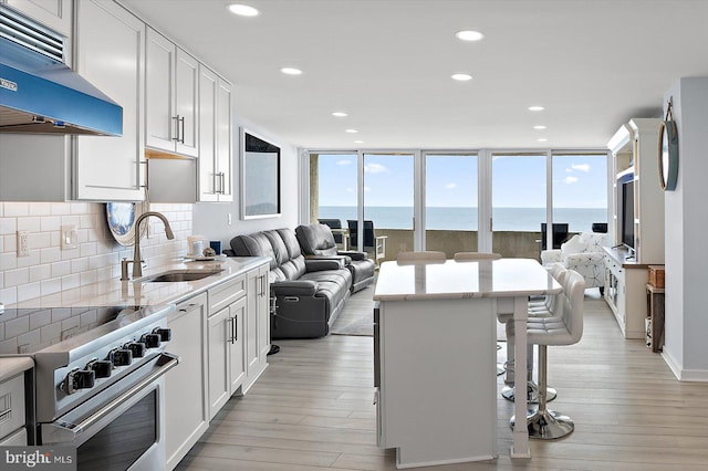8500 Coastal Hwy Unit 805, Ocean City, MD 21842 - kitchen with high end stainless steel range oven, under cabinet range hood, light wood-style floors, decorative backsplash, and a sink