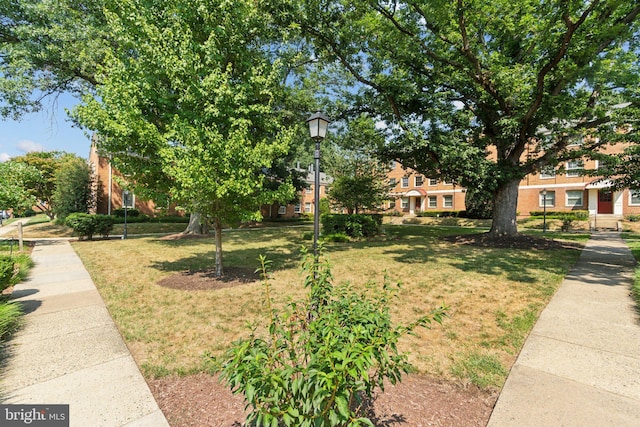 2507 Arlington Blvd Unit 20, Arlington, VA 22201 - view of property hidden behind natural elements featuring a front lawn and brick siding