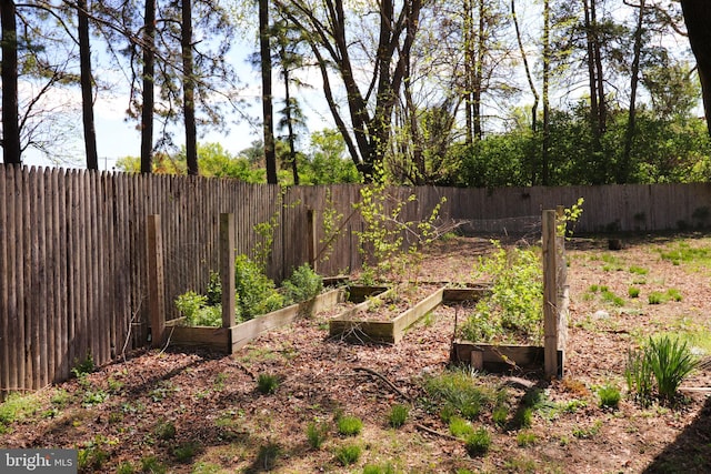 1405 Westchester St, Salisbury, MD 21801 - view of yard featuring a fenced backyard and a vegetable garden