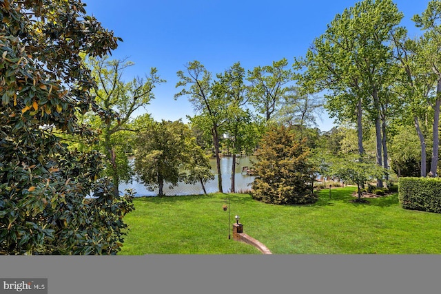 view of green lawn featuring a water view