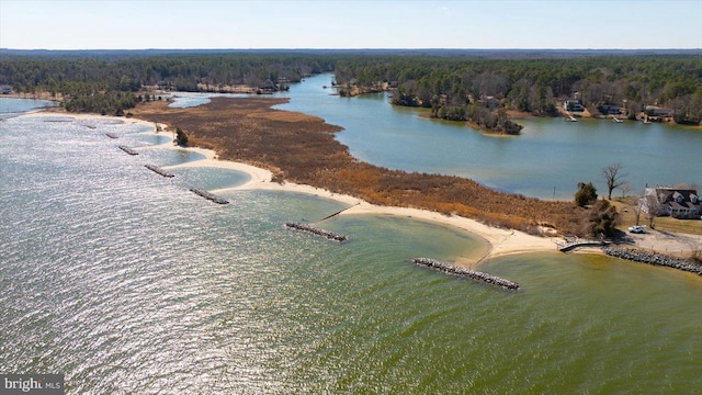 drone / aerial view of a heavily wooded area and a nearby body of water