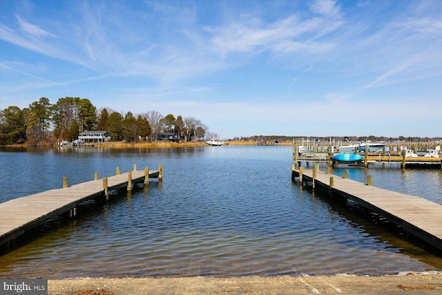 dock area with a water view