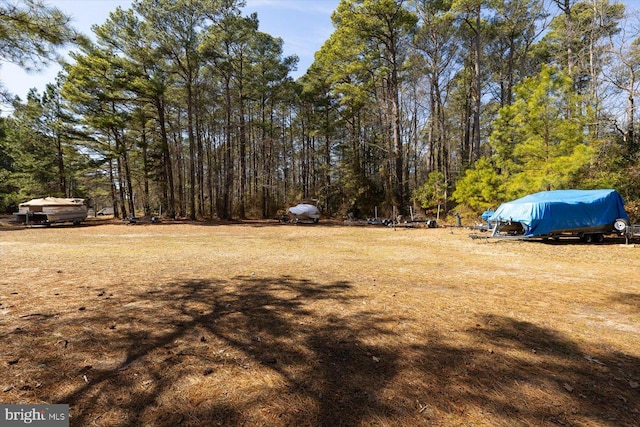 view of yard featuring a forest view