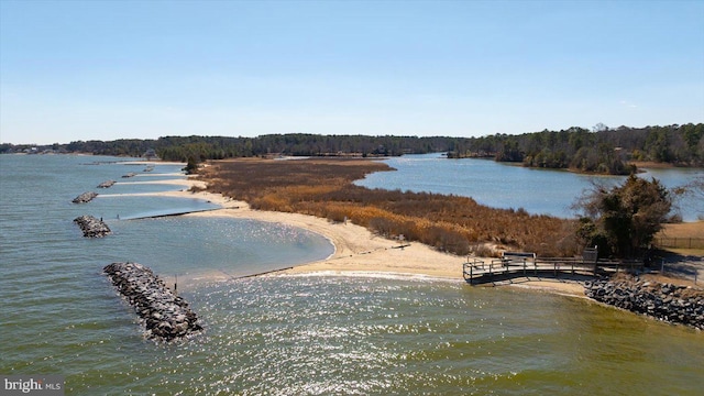 water view featuring a heavily wooded area