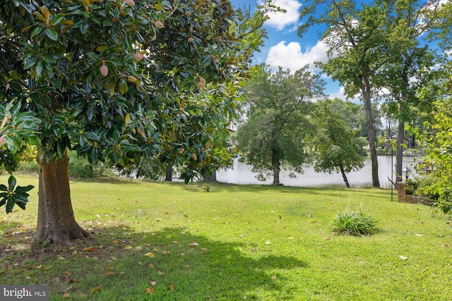 view of green lawn featuring a water view