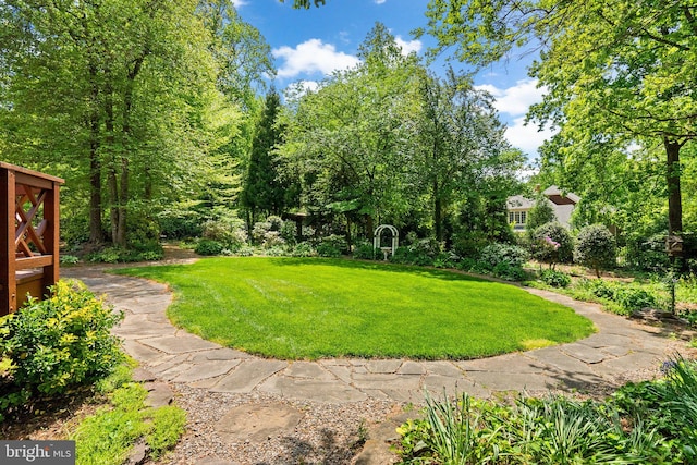 view of yard