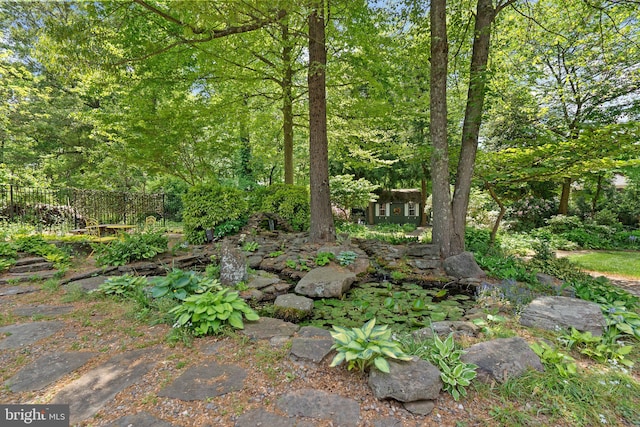 view of local wilderness