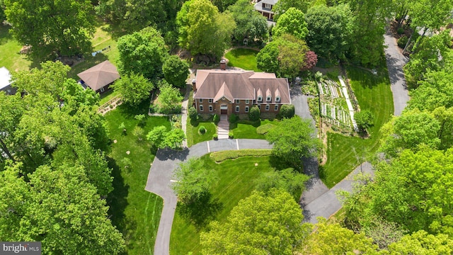 aerial view
